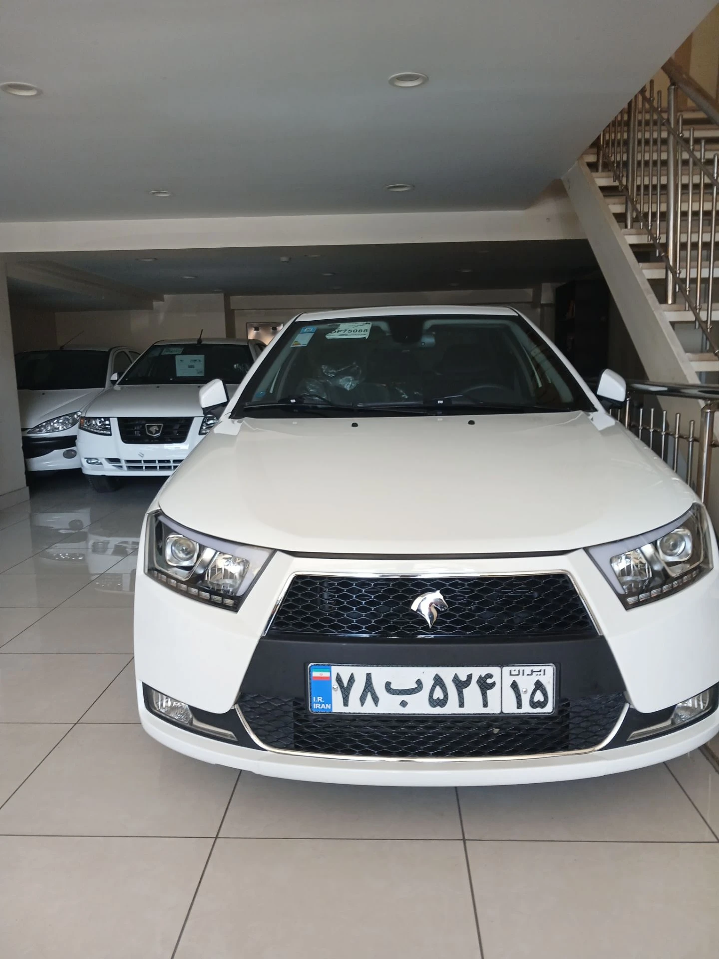 دنا آپشنال 403 جوانان