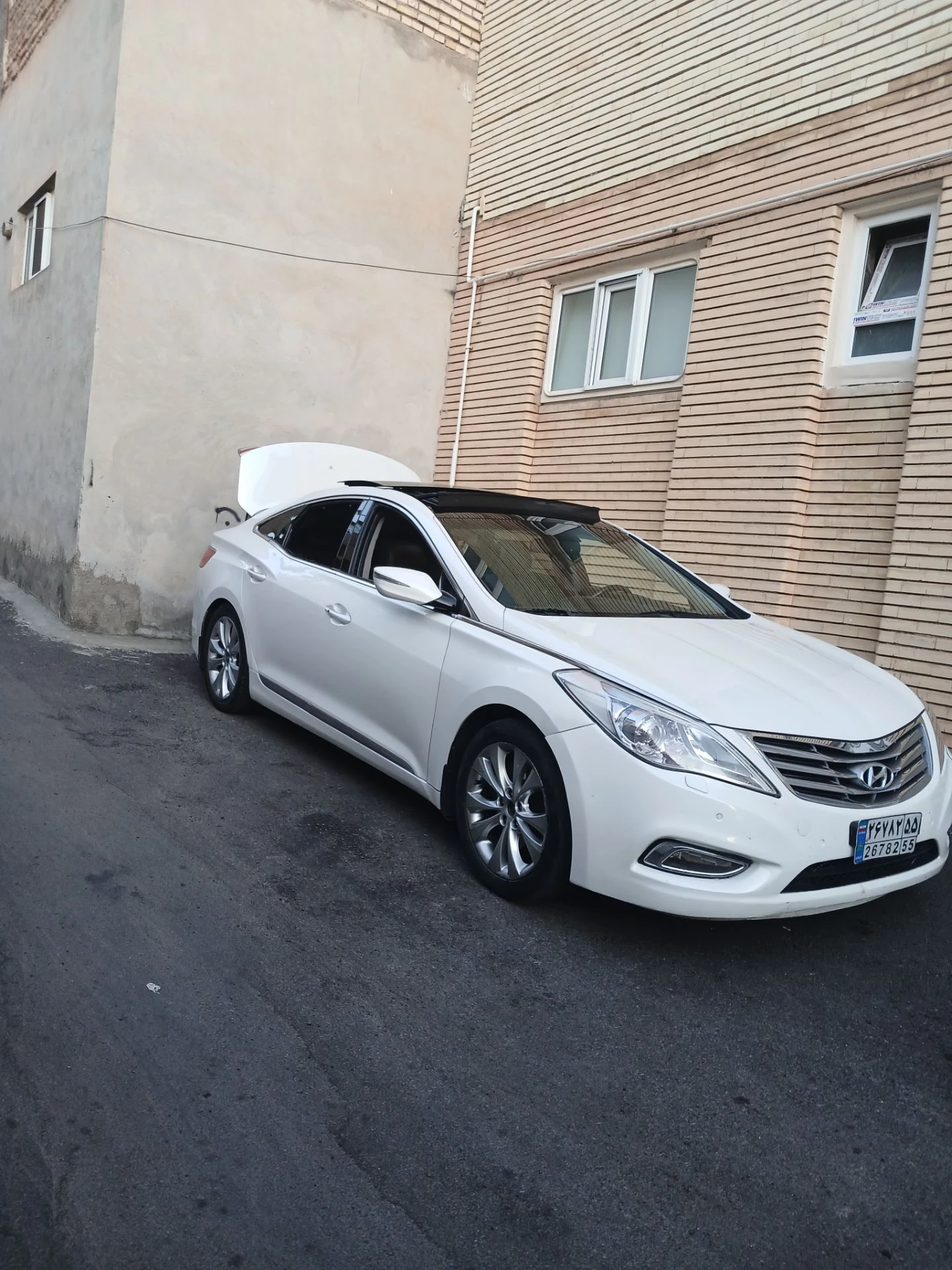آزرا گرنجوور ارس دائم - سمت چپ